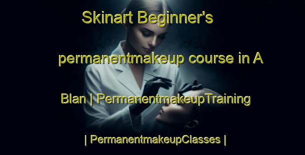 Skinart Beginner's permanentmakeup course in A Blan | PermanentmakeupTraining | PermanentmakeupClasses | SkinartTraining-Viet Nam